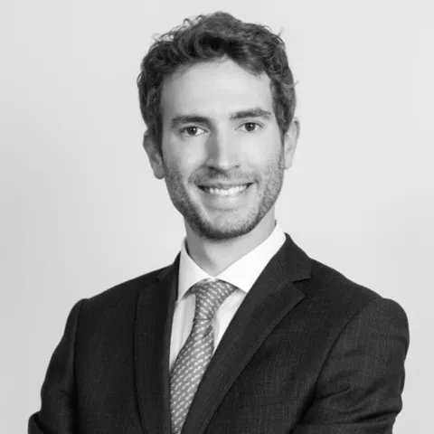 Guido Boccardo
