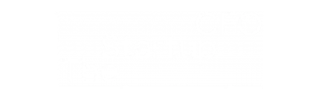 The Startup CFO