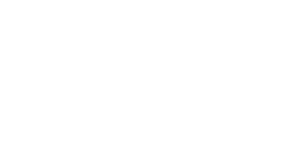 LG Xplorers