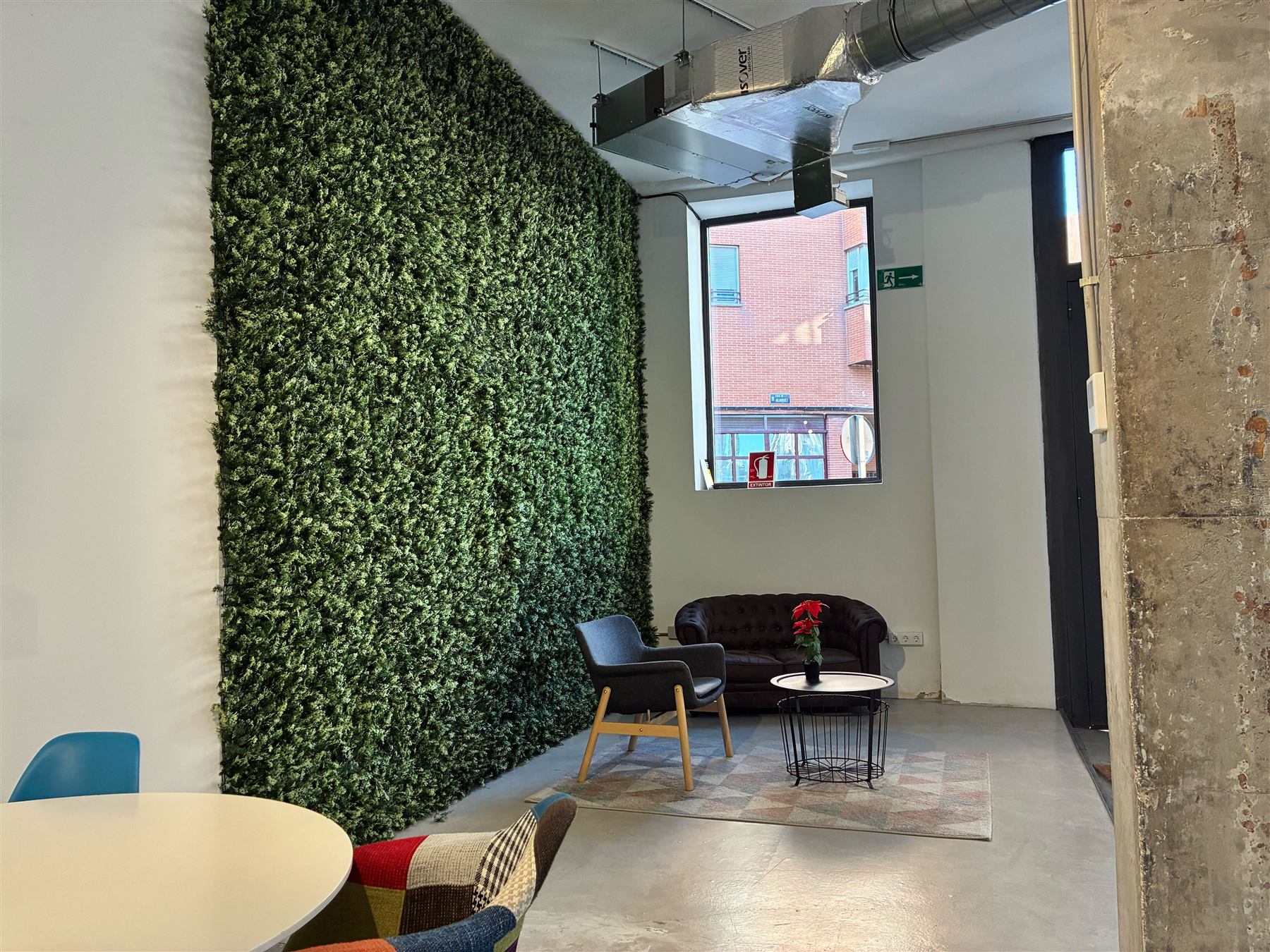 The Nova House green wall and meeting area